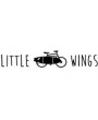 Little Wings