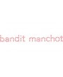 Bandit Manchot